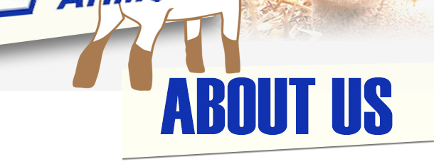 About Us