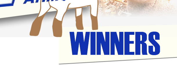 Winners