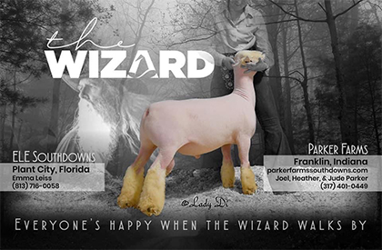 Wizard