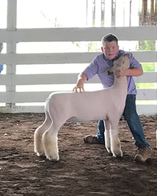 Parker Farms Winners