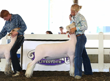 Parker Farms Winners